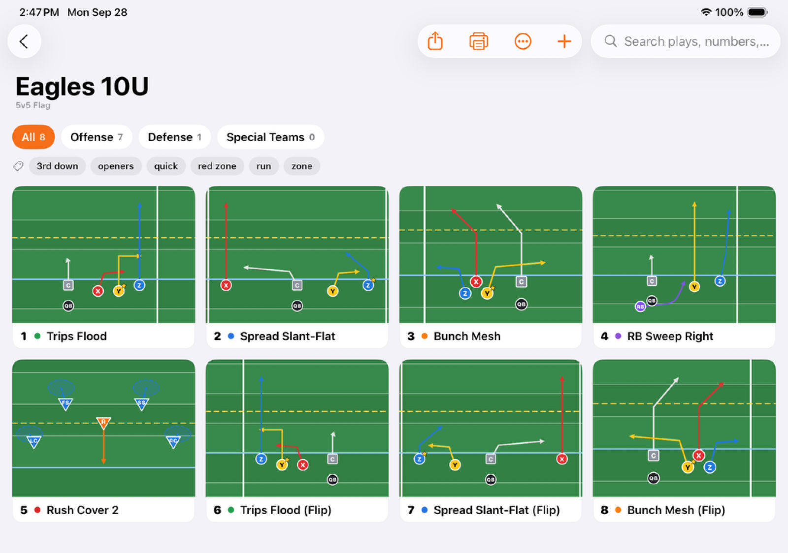 A 5v5 flag playbook on iPad: eight play cards with diagrams, filters for offense, defense and special teams, and tags like 3rd down and red zone.